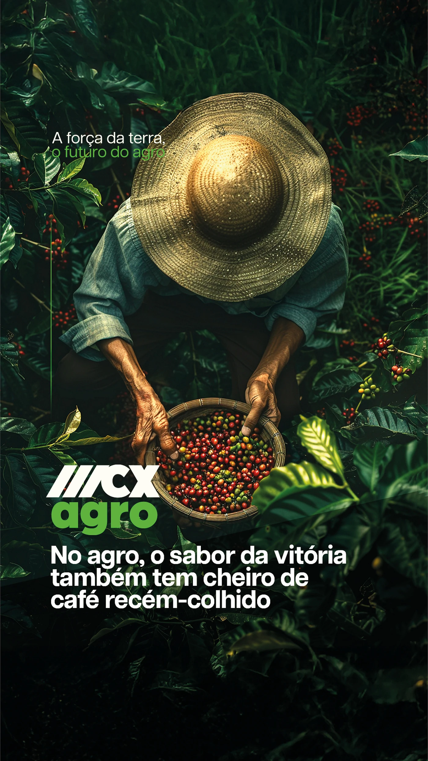 MCX Agro · Content