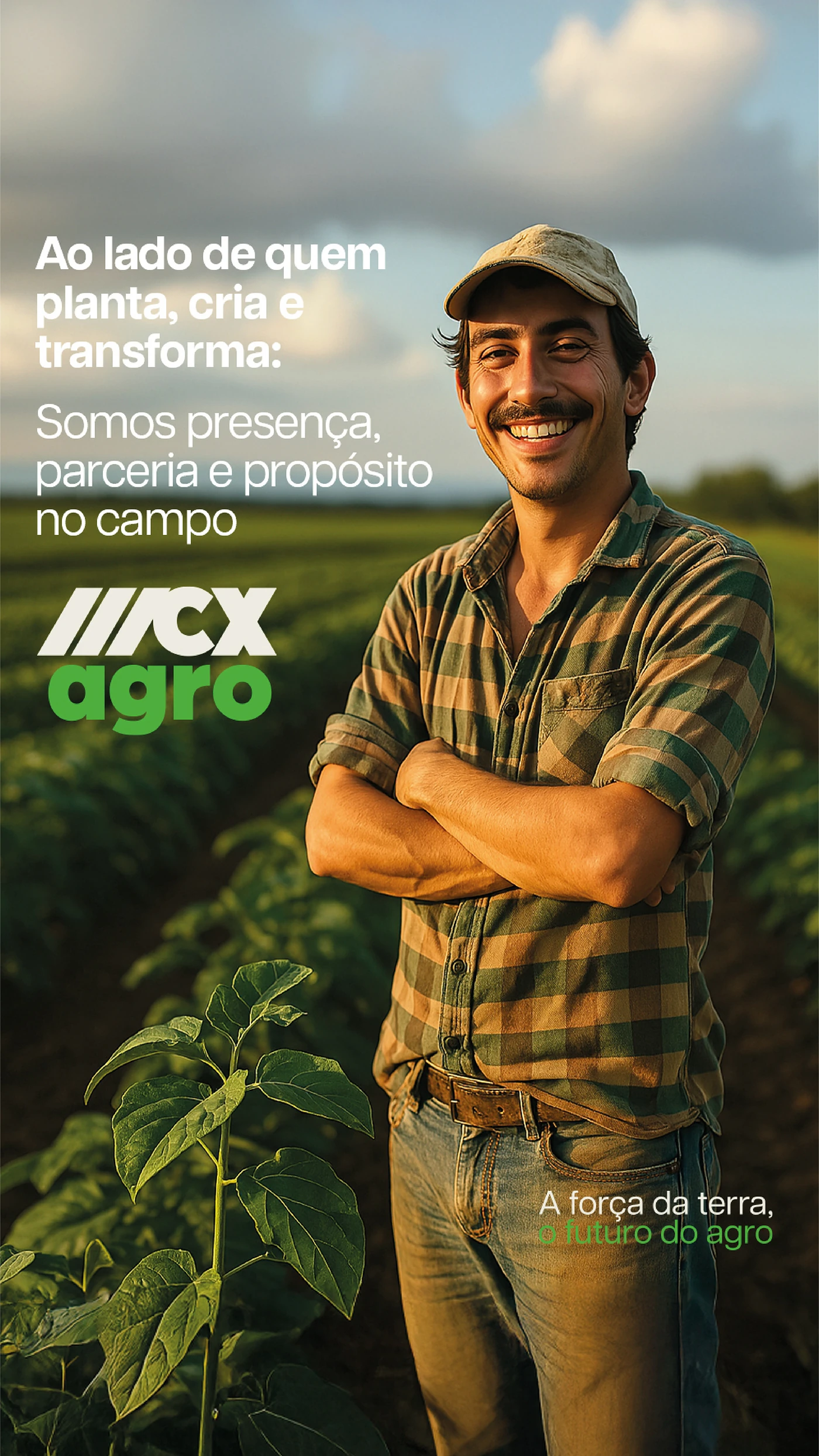 MCX Agro · Campagne